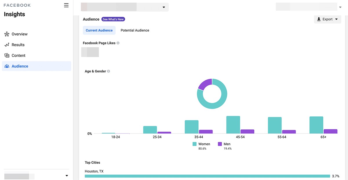 Facebook Audience Insights